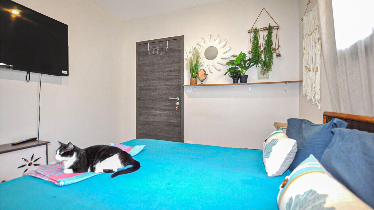 Photo of Others in Treilles