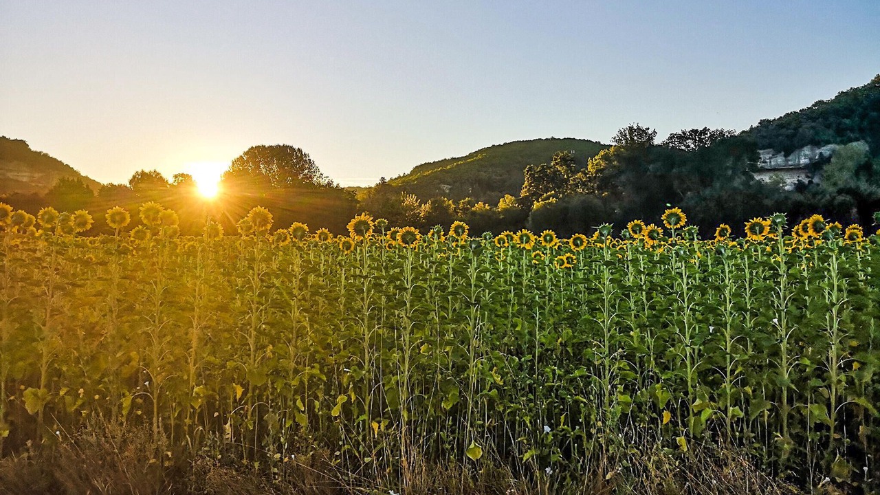 Photo of Others in Saint-Andre-dAllas