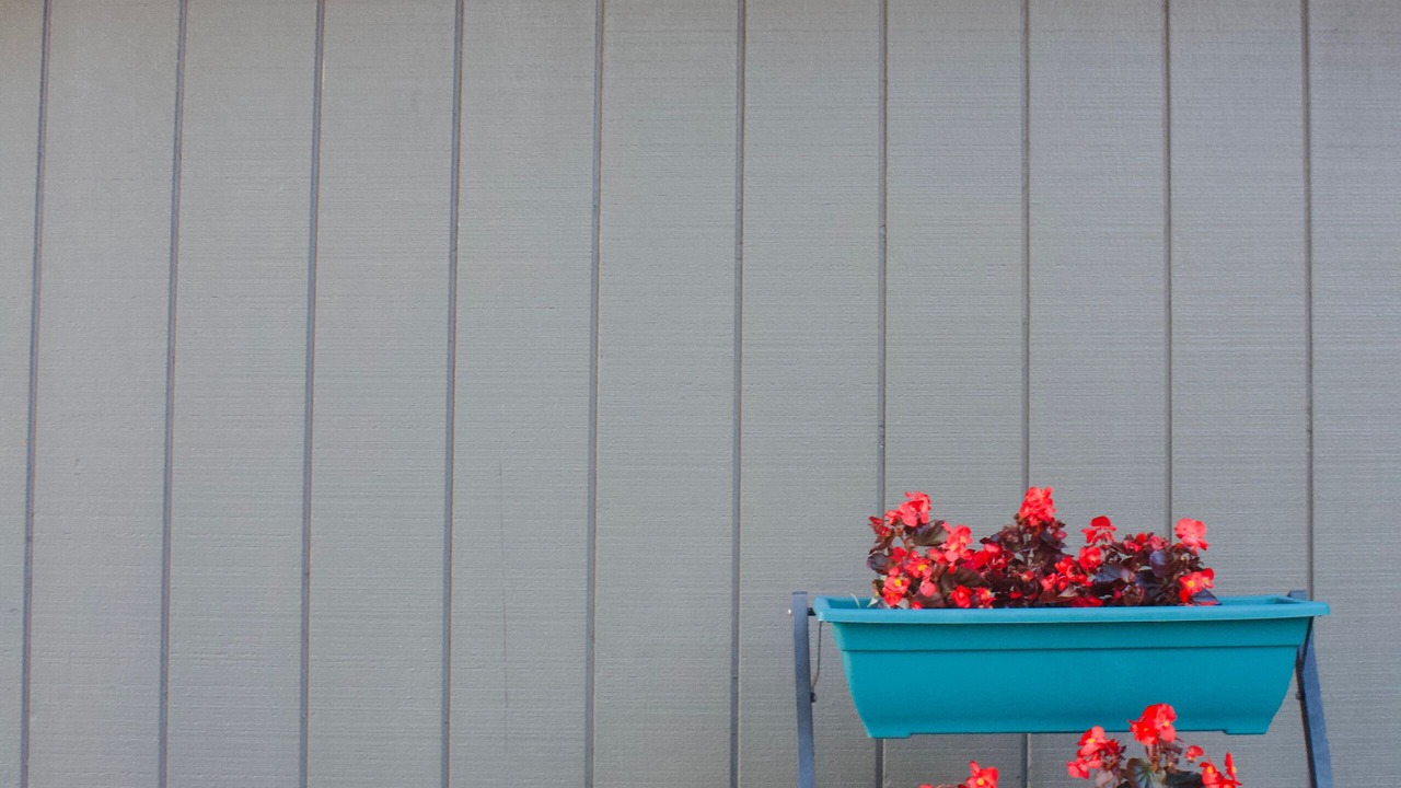 Photo of Outdoor in Kelso