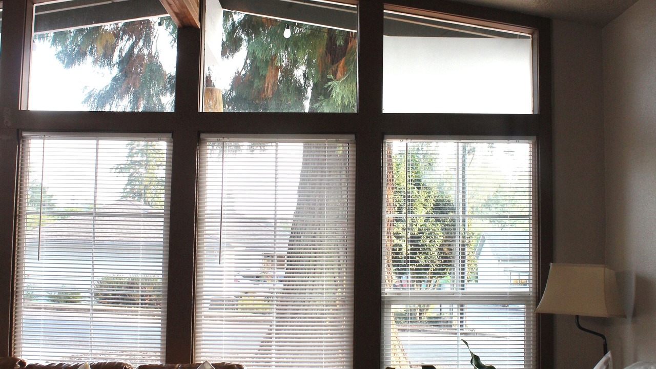 Photo of Others in Kelso