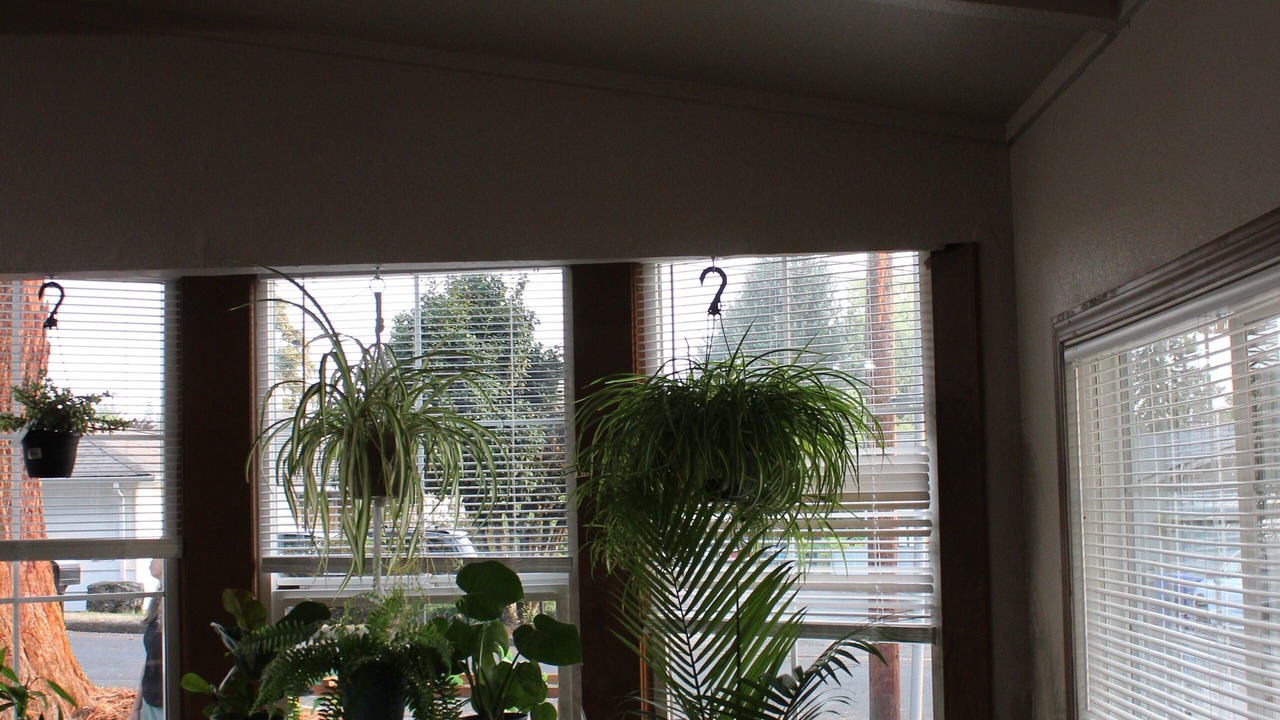 Photo of Others in Kelso