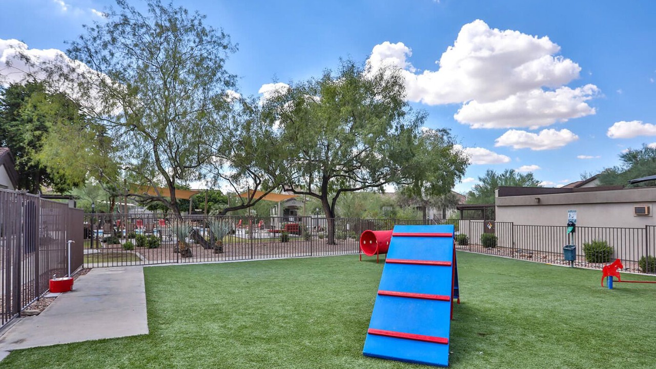 Photo of Outdoor in McDowell Mountain Apartments