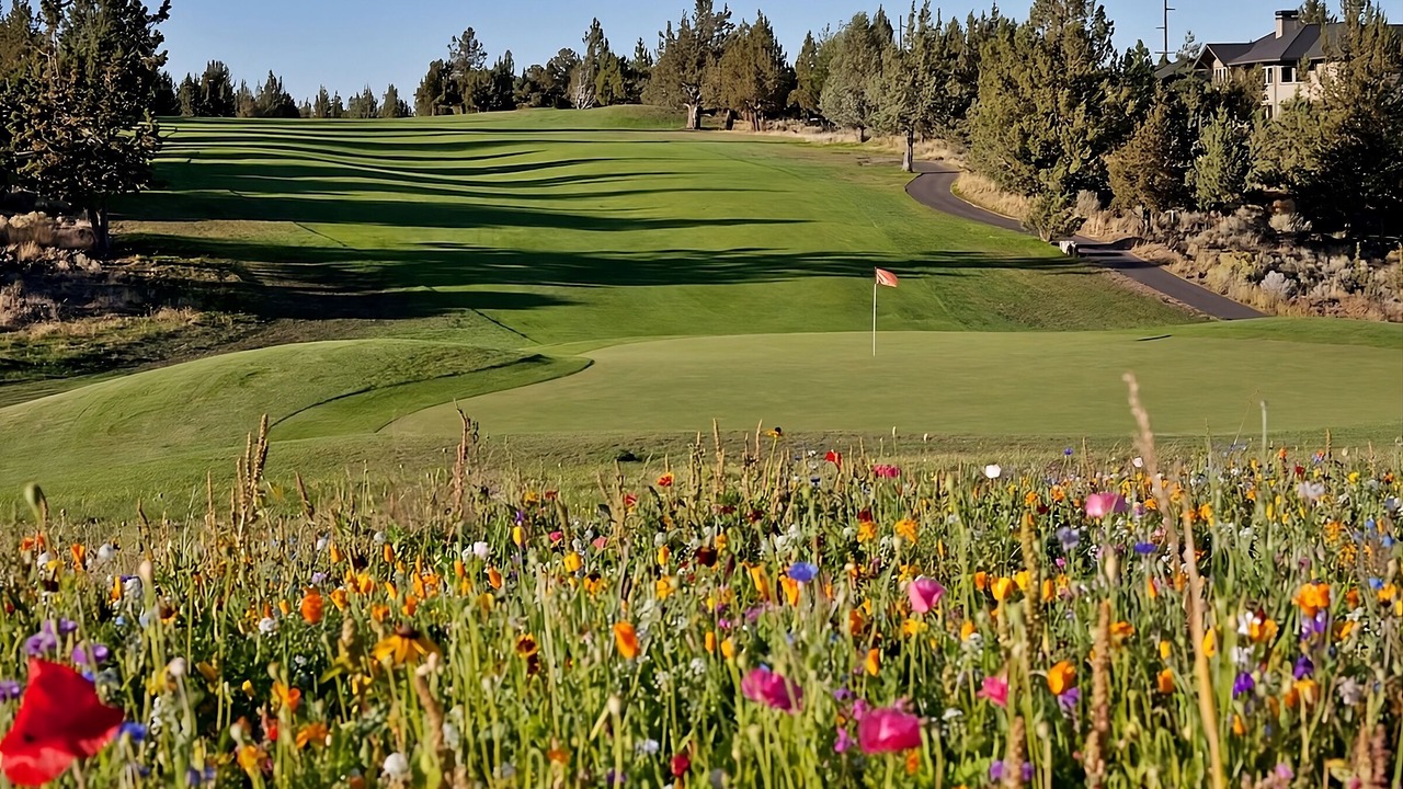 Photo of Others in Redmond