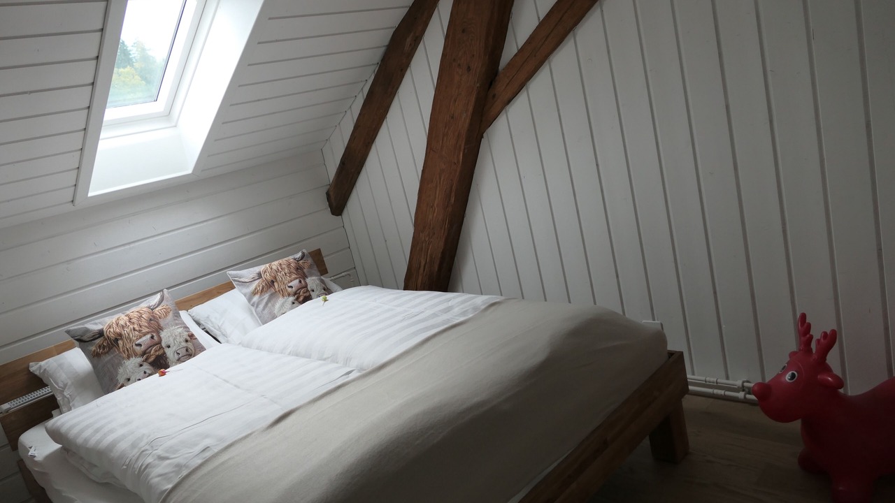 Photo of Bedroom in Teufenthal