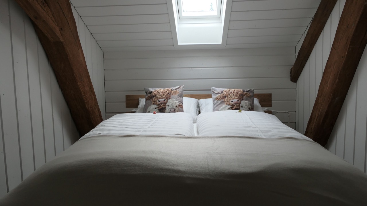Photo of Bedroom in Teufenthal