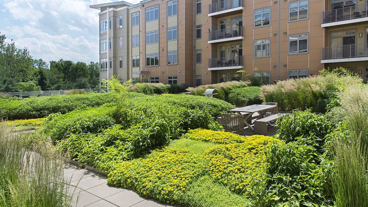 Photo of Outdoor in Waltham