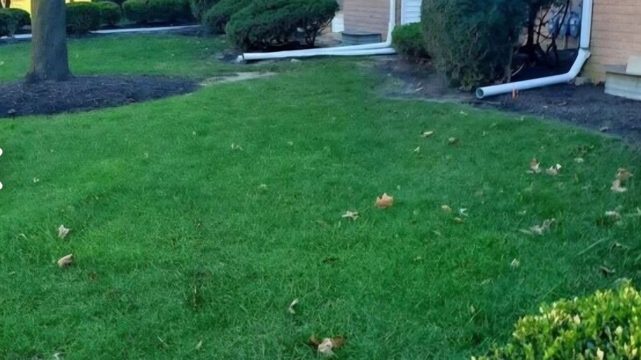 Photo of Outdoor in Point Pleasant