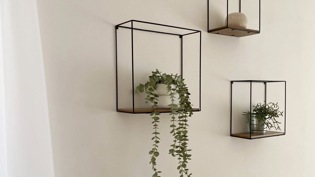 Photo of Others in Stroud Green