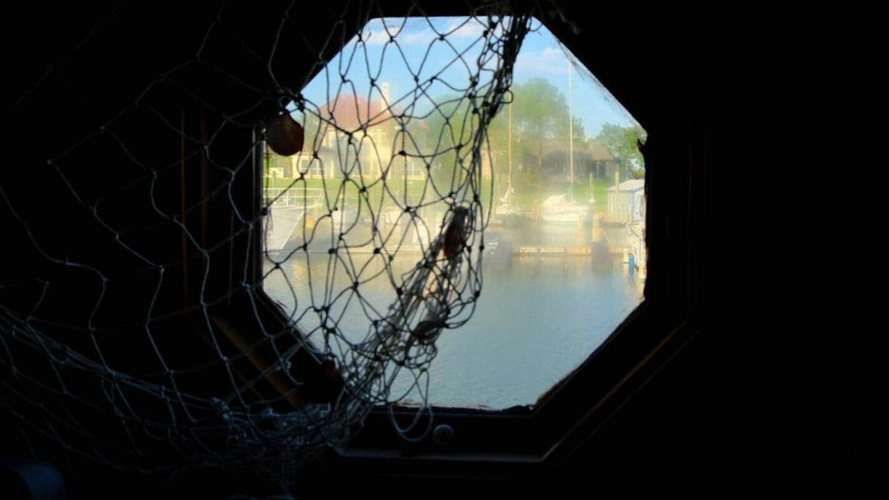 Photo of Others in Kemah