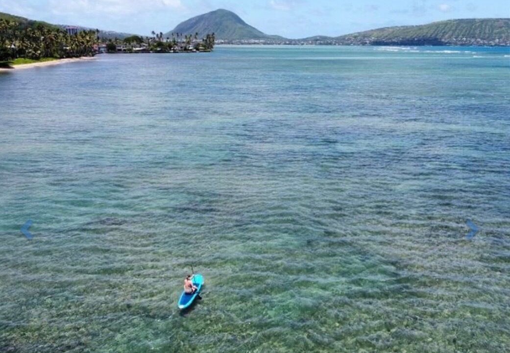 Photo of Others in Eastern Honolulu