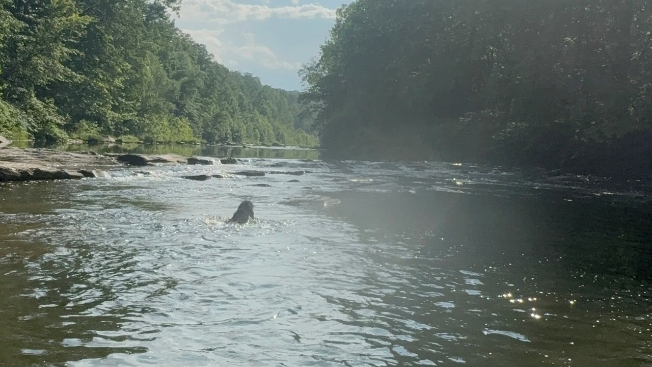 Photo of Others in Camptown