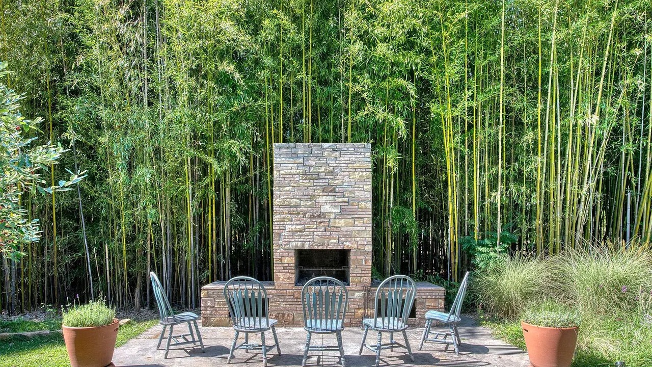 Photo of Outdoor in Silver Beach