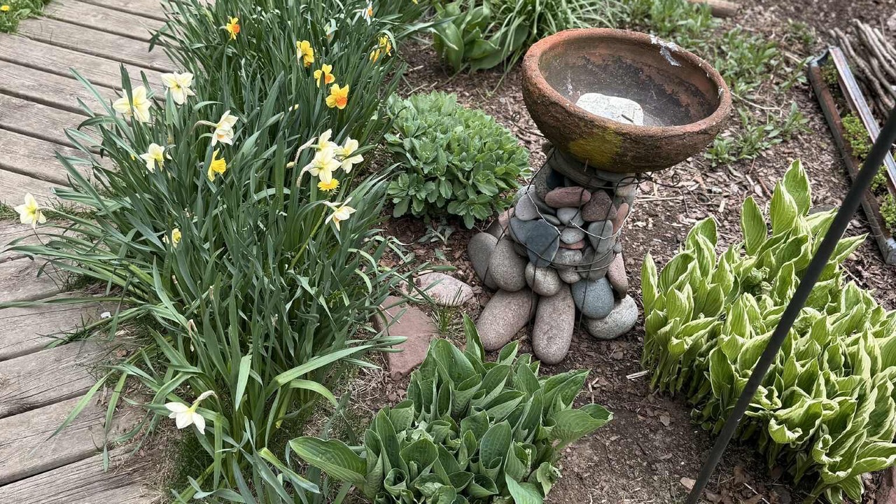 Photo of Outdoor in Grand Marais