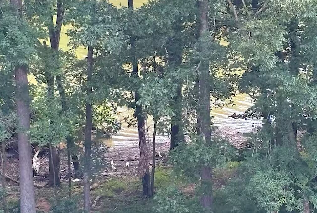 Photo of Others in Eddyville