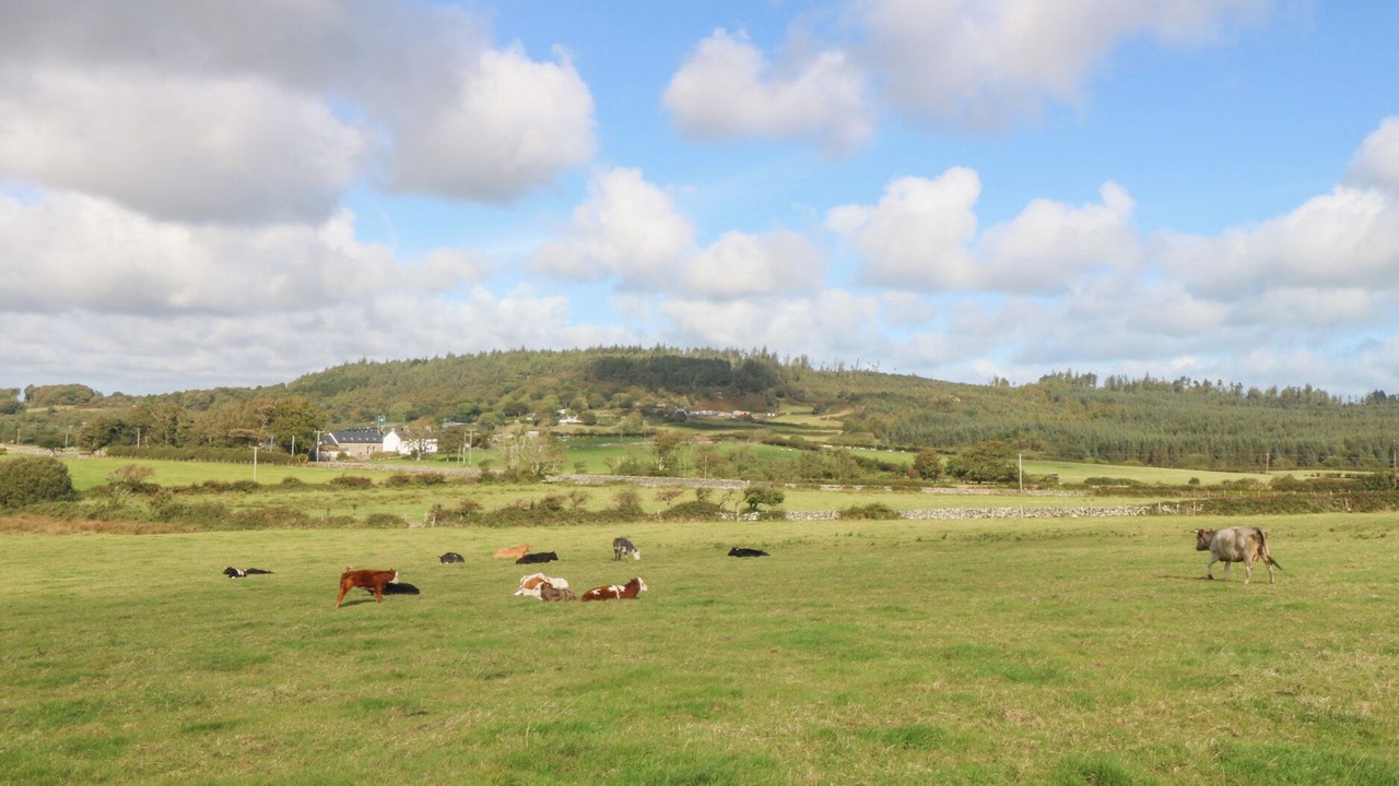 Photo of Others in Menai Bridge