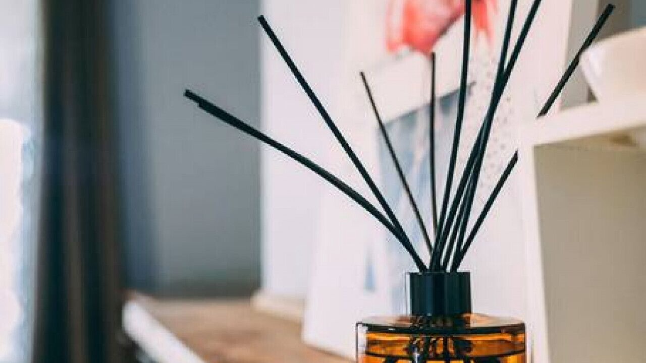 Photo of Others in Rosewater