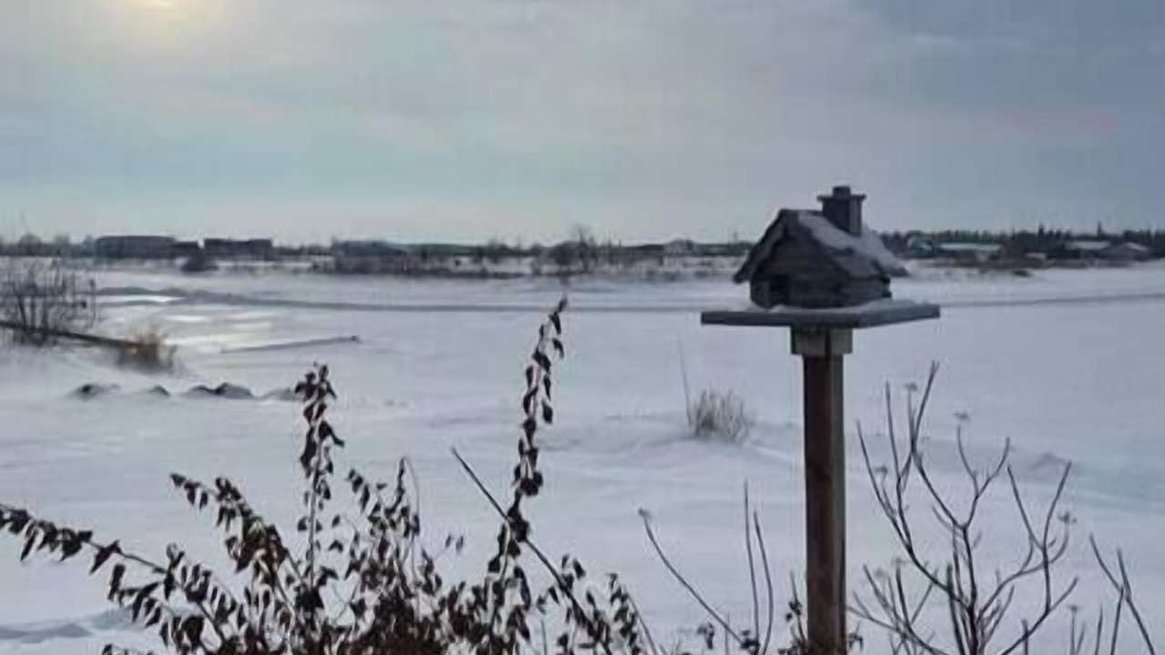Photo of Others in Gimli