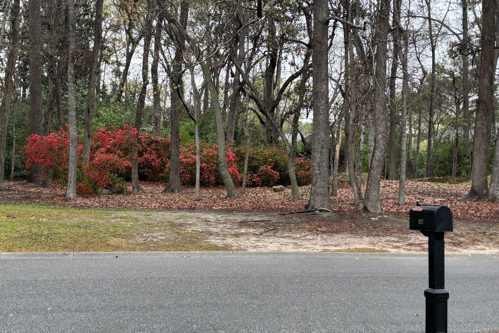 Photo of Others in North Charleston