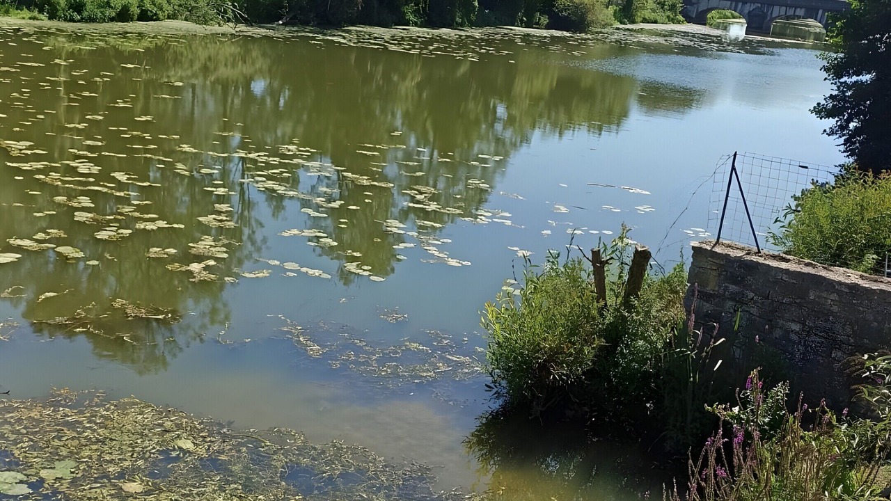 Photo of Outdoor in Bazoilles-sur-Meuse