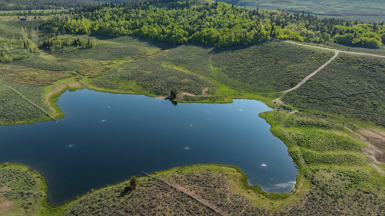 Photo of Others in Pinedale