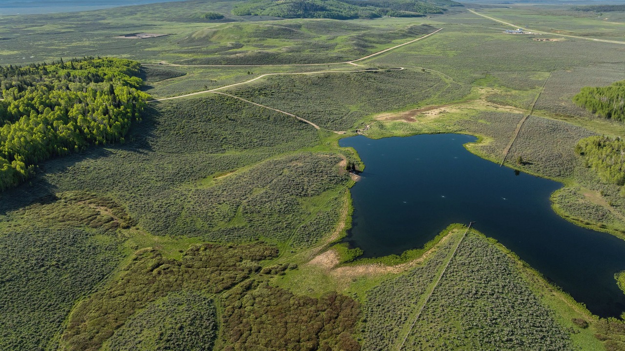 Photo of Others in Pinedale