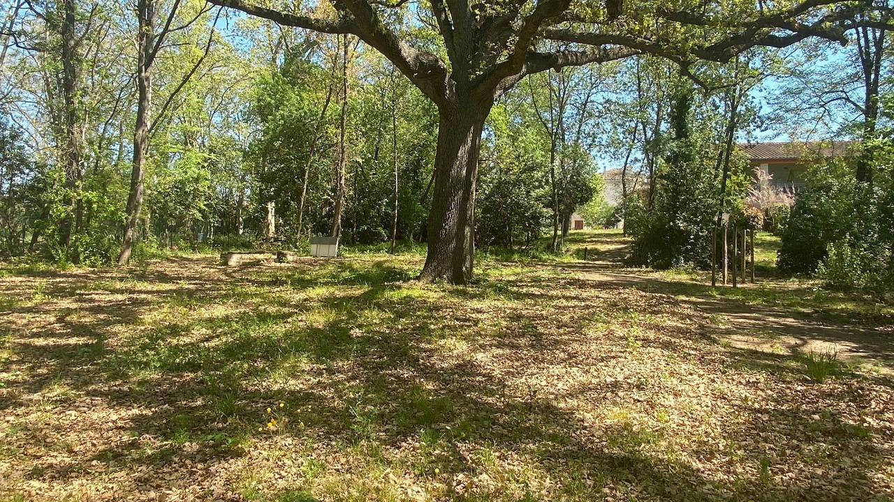 Photo of Outdoor in Azille