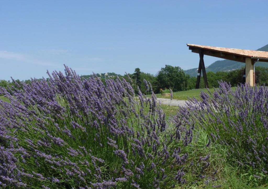 Photo of Outdoor in Digne-les-Bains