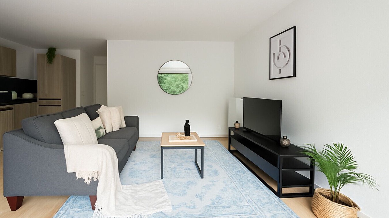 Photo of Livingroom in Malakoff