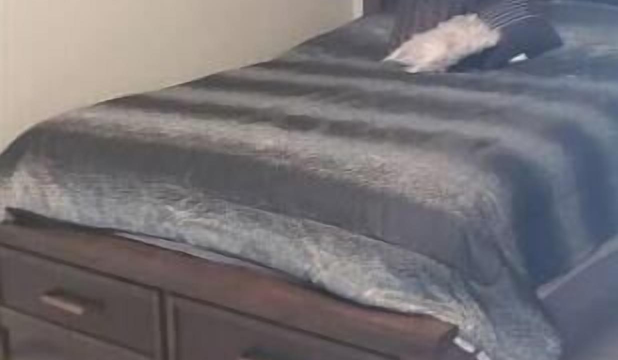Photo of Bedroom in Enid