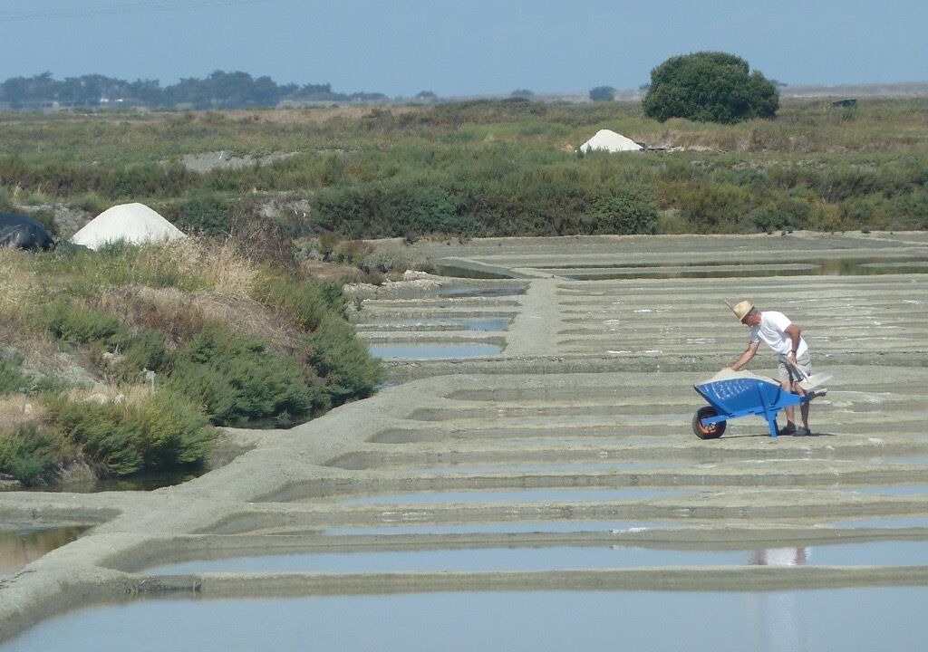 Photo of Others in Batz-sur-Mer