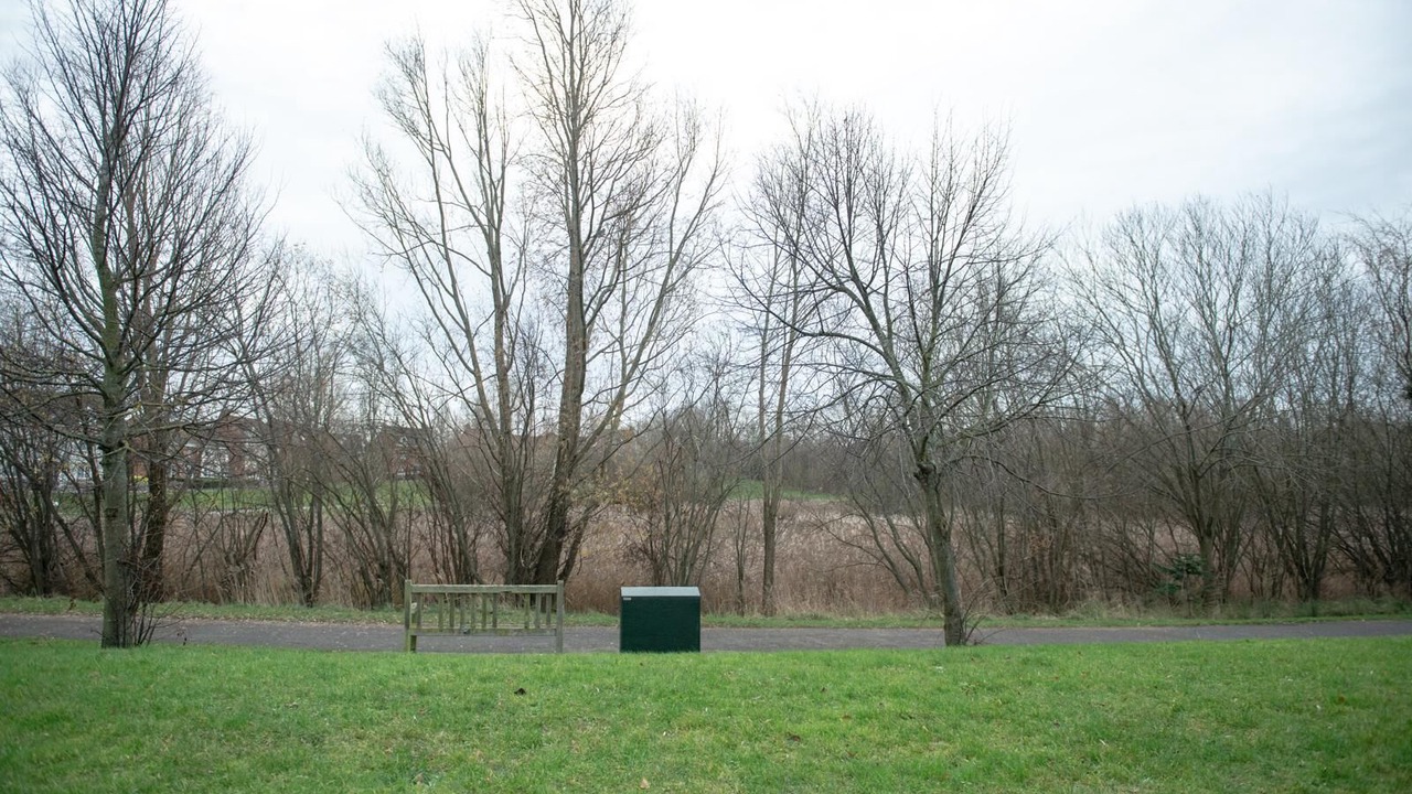 Photo of Others in Peterborough