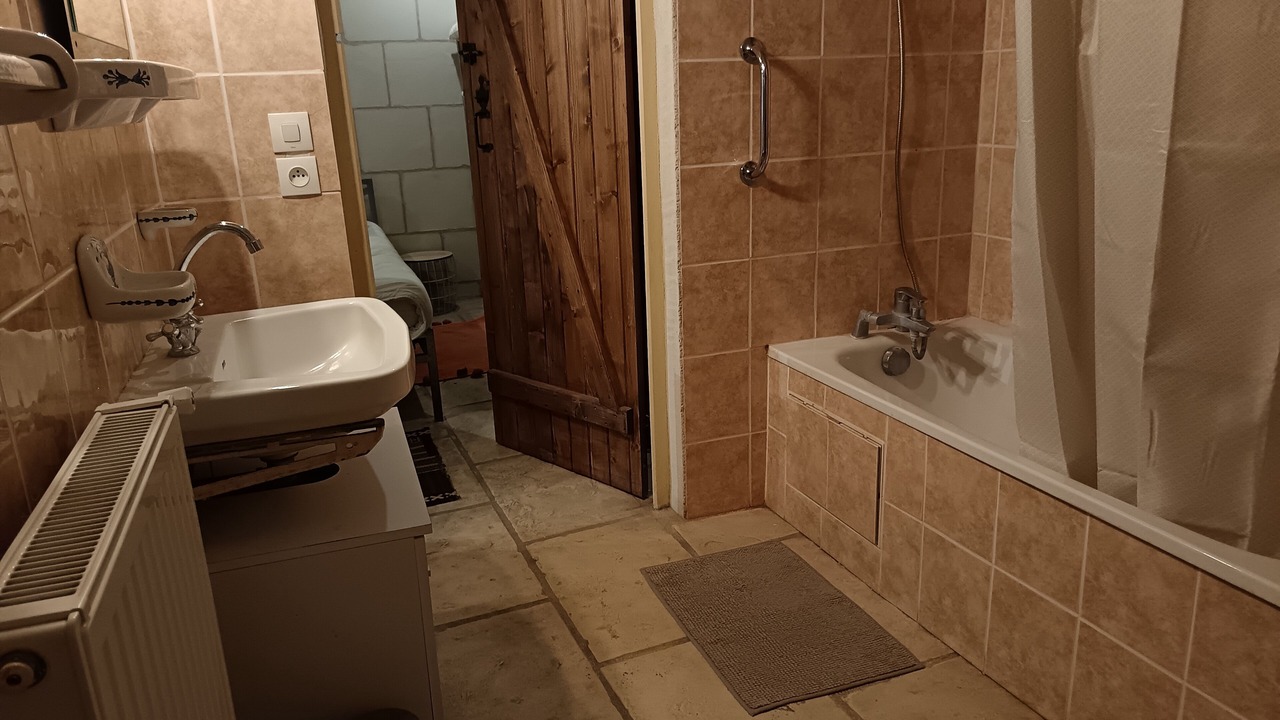 Photo of Bathroom in Poce-sur-Cisse