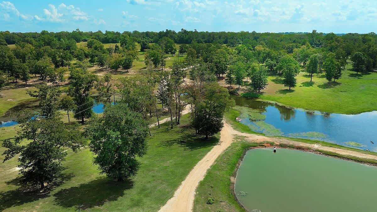 Photo of Outdoor in Centerville