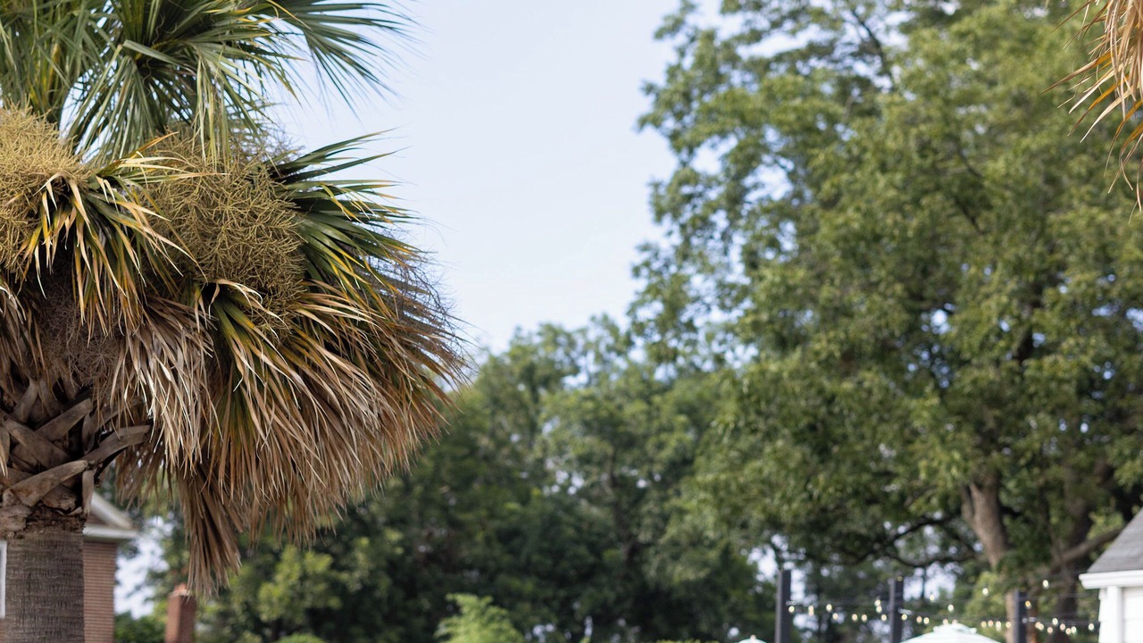 Photo of Outdoor in Greenville
