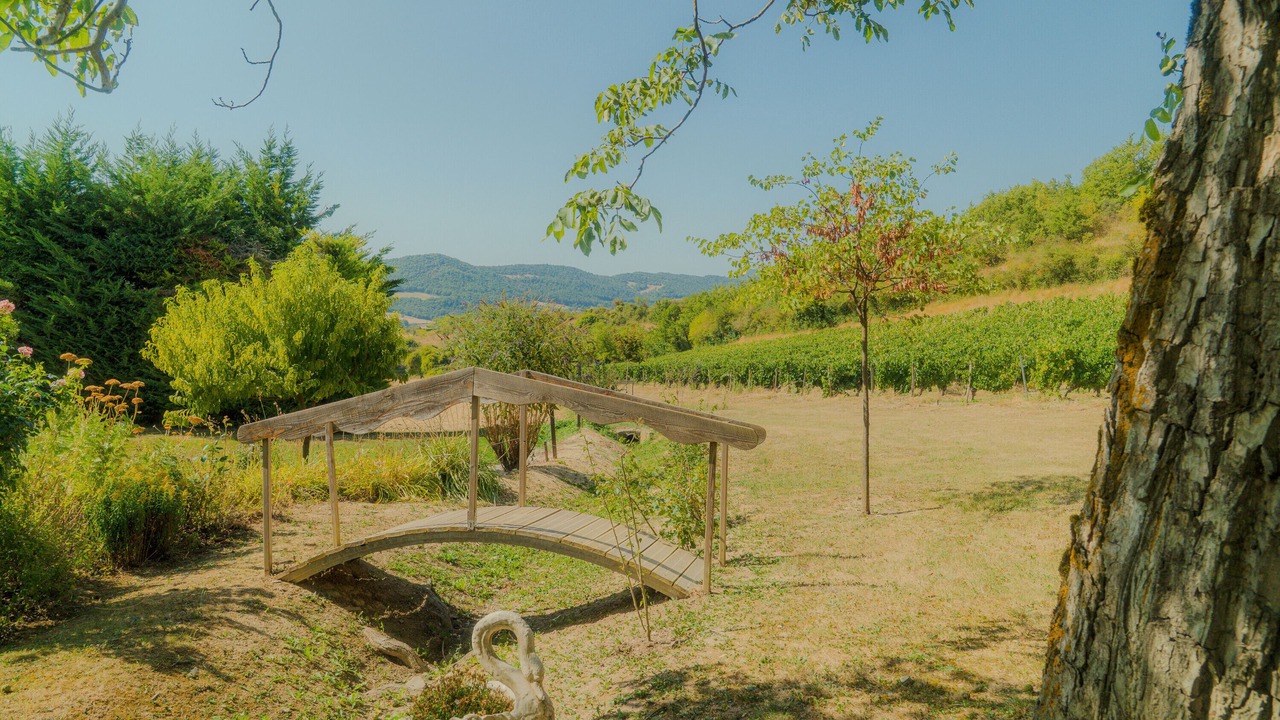 Photo of Outdoor in Mirabel-et-Blacons