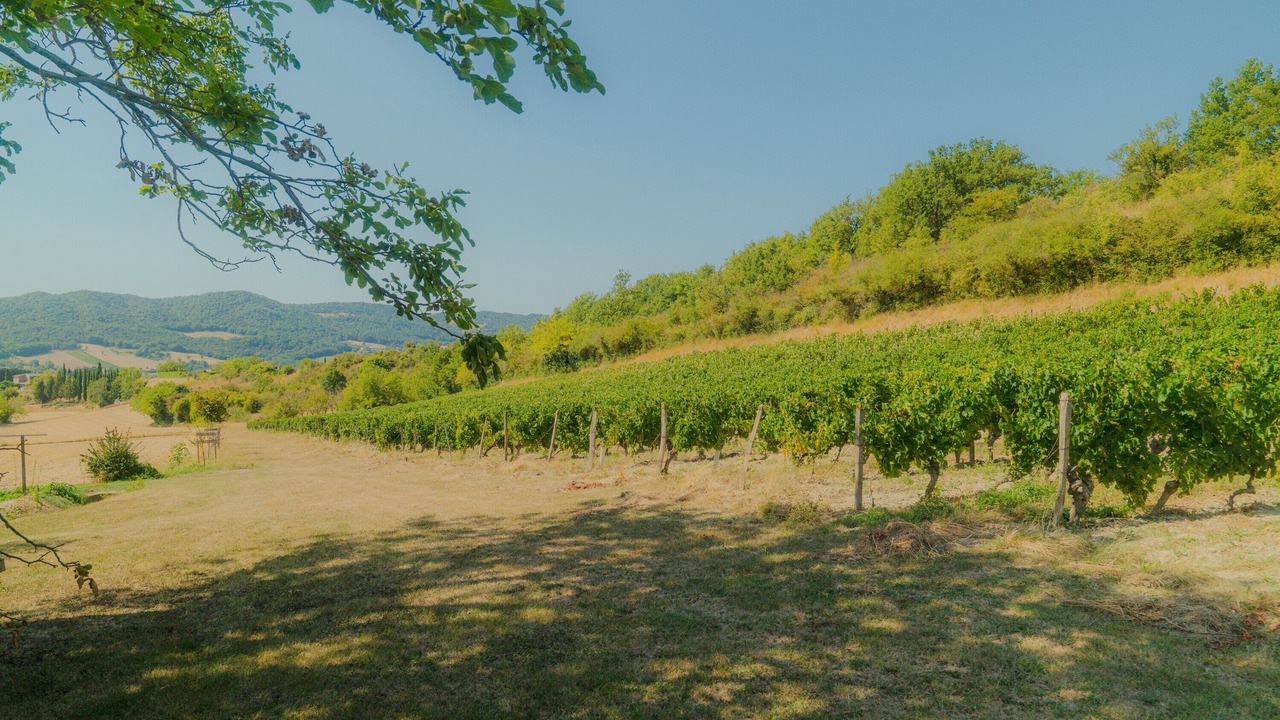 Photo of Others in Mirabel-et-Blacons