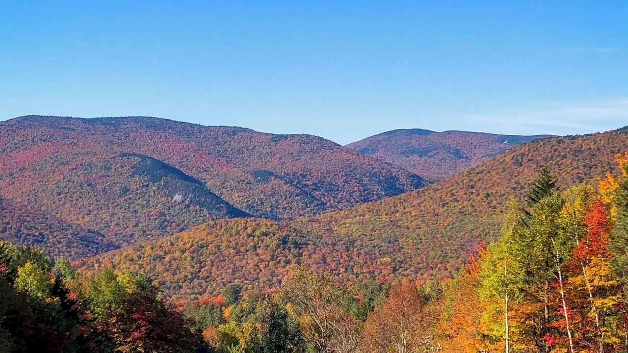 Photo of Others in Hancock