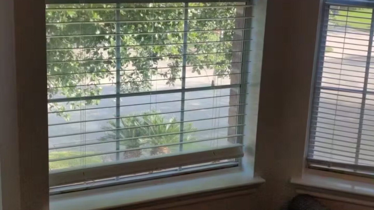 Photo of Others in Houston
