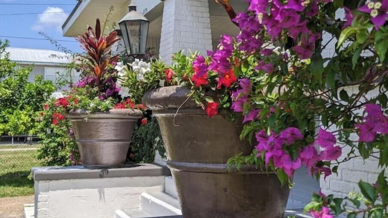 Photo of Outdoor in Northside