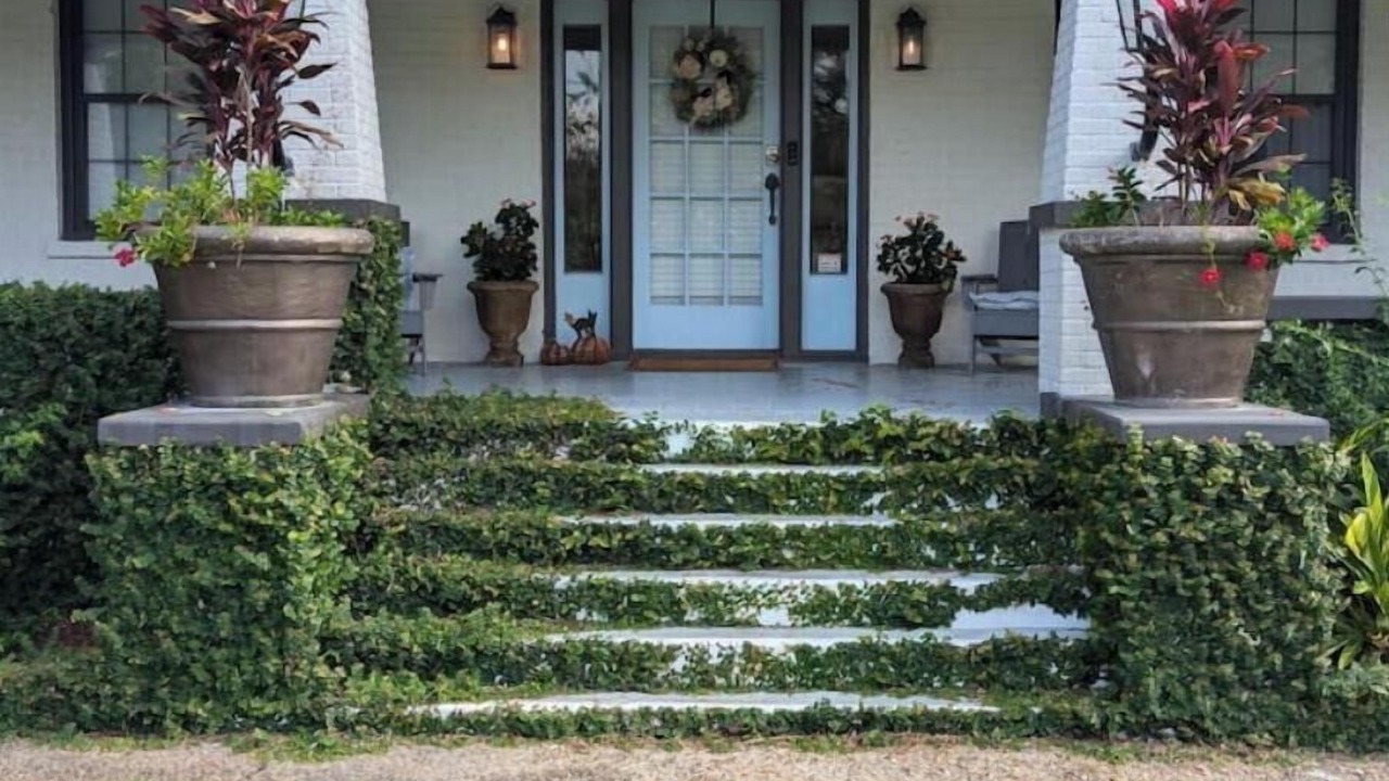 Photo of Outdoor in Northside