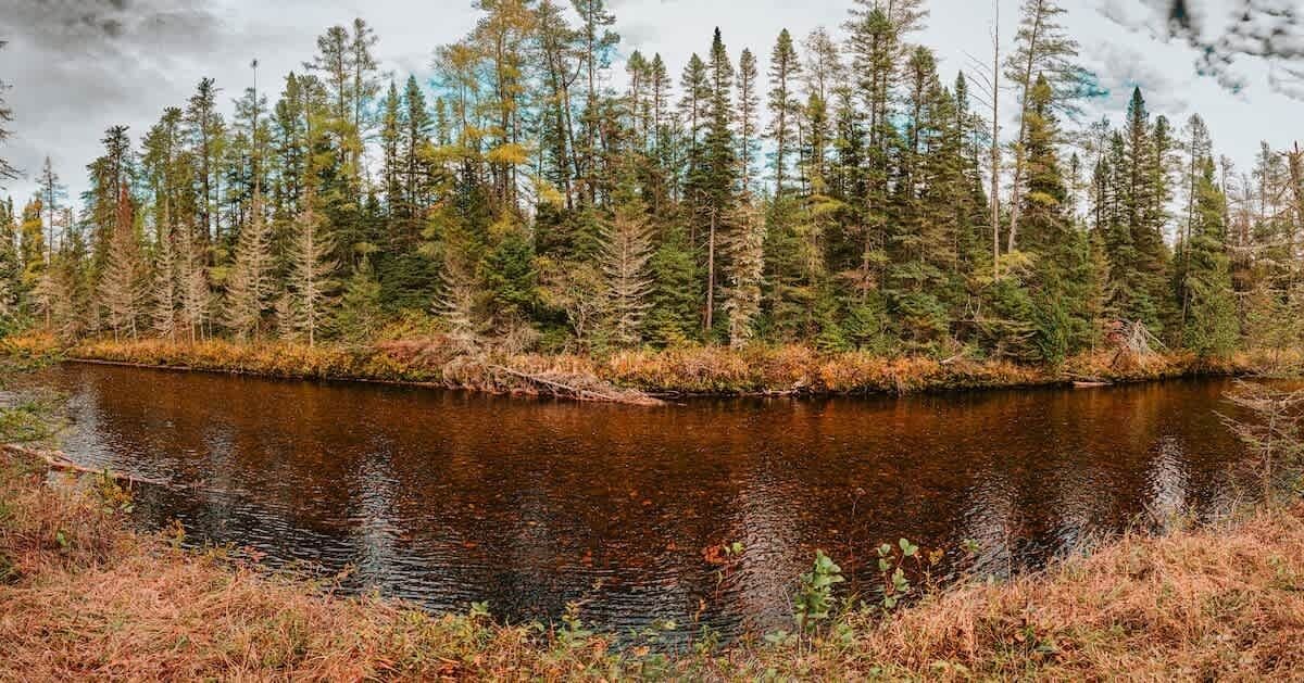 Photo of Others in Saint-David-de-Falardeau