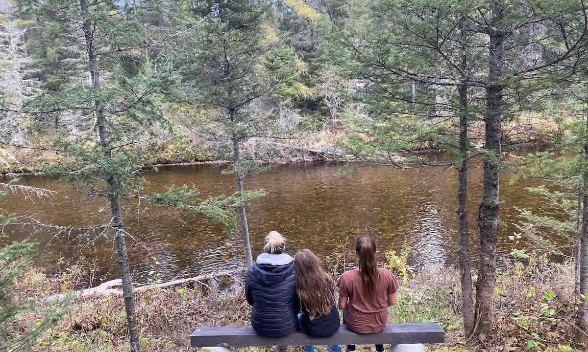 Photo of Others in Saint-David-de-Falardeau