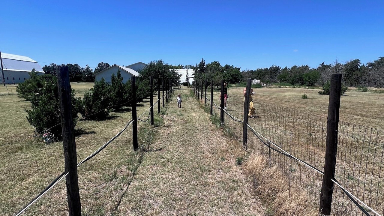 Photo of Others in Rawlins County