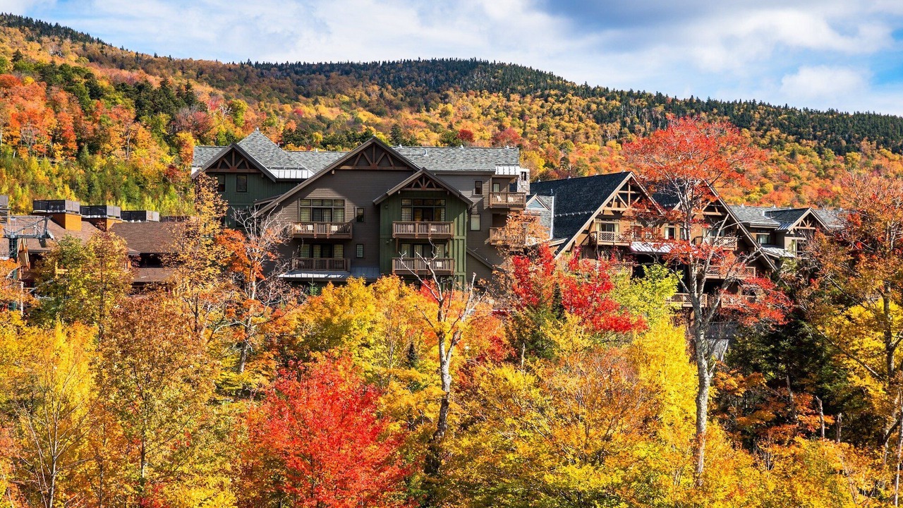 Photo of Outdoor in Stowe Area