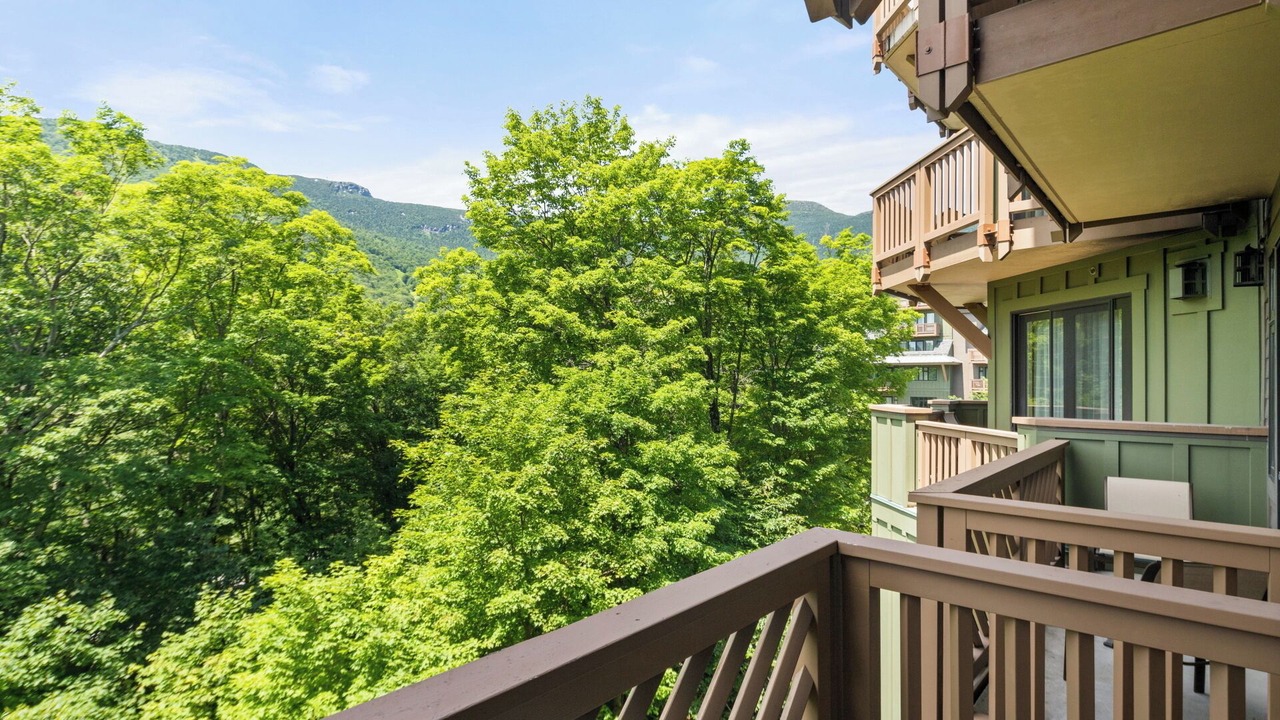 Photo of Outdoor in Stowe Area