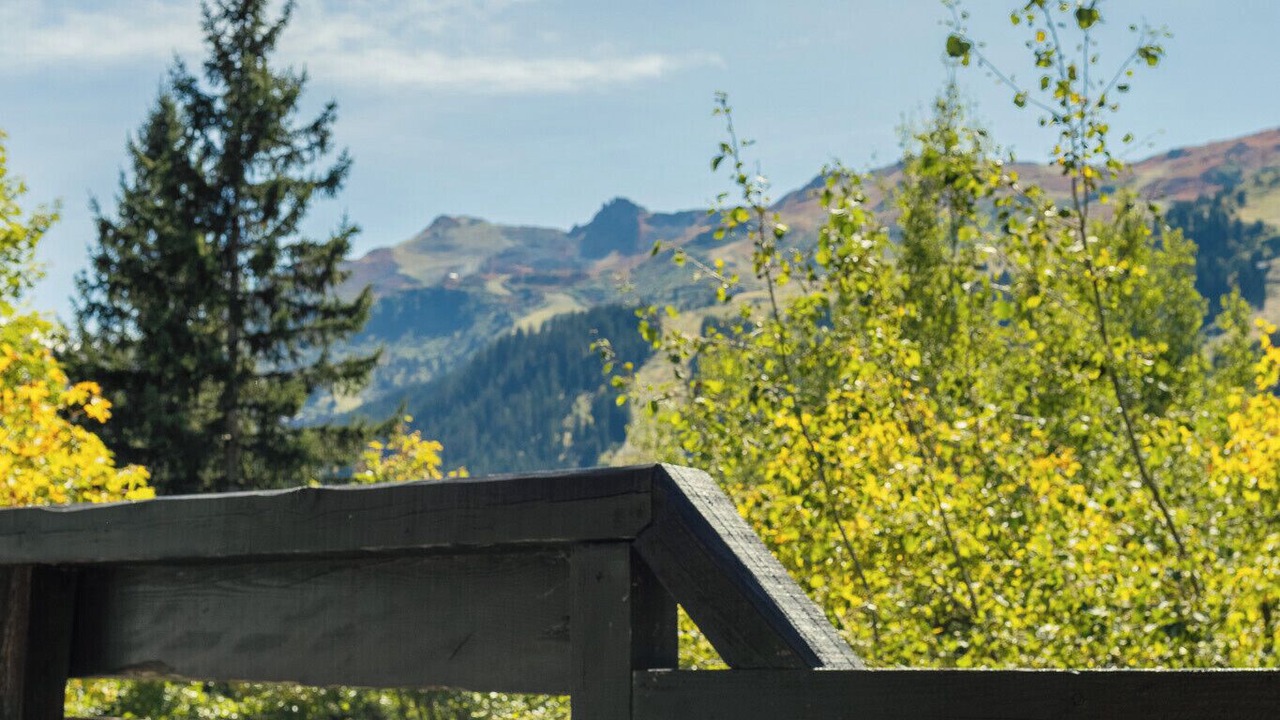 Photo of Outdoor in Meribel Centre