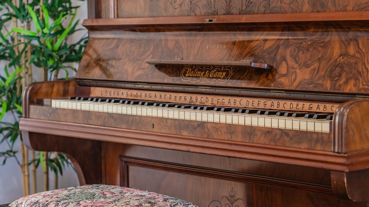 Photo of Others in Banora Point