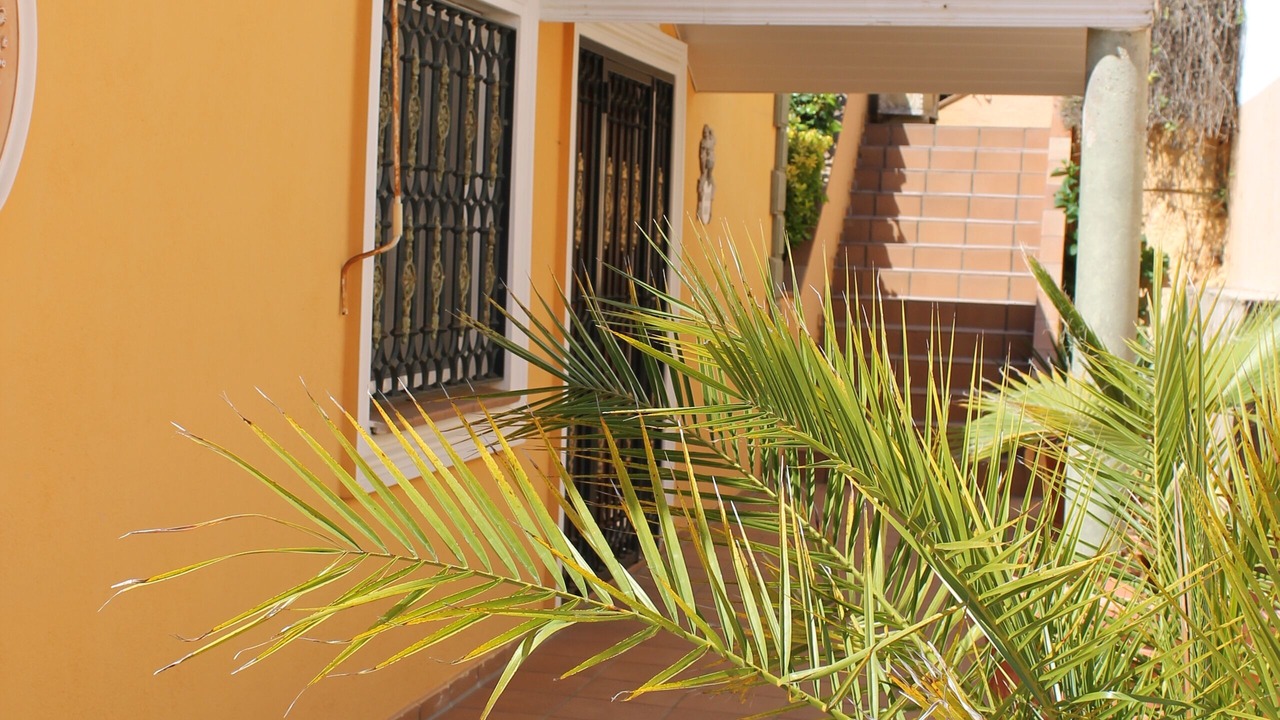 Photo of Outdoor in Lloret Blau