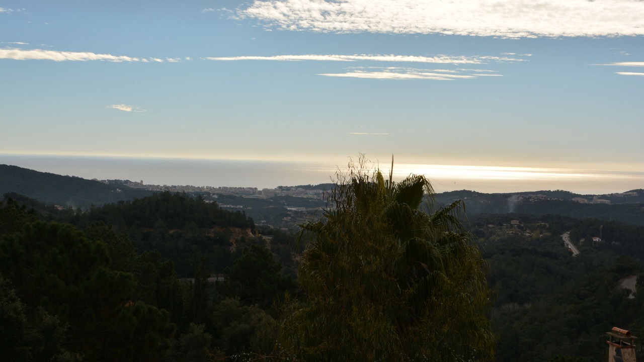 Photo of Others in Lloret Blau