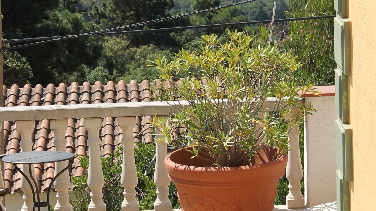 Photo of Outdoor in Lloret Blau